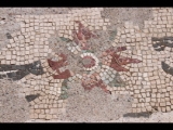 06356 ostia - regio iii - insula ix - case a giardino (iii,ix) - suedostecke - farbige blume - nilotisches mosaik - 06-2024.jpg